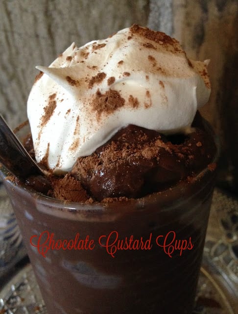 Chocolate Custard Cups chocolate custard