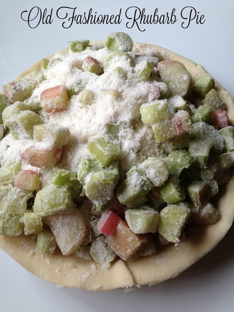 Old Fashioned Rhubarb Pie old fashioned rhubarb
