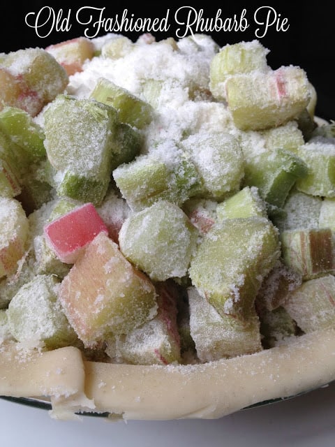 Old Fashioned Rhubarb Pie old fashioned rhubarb