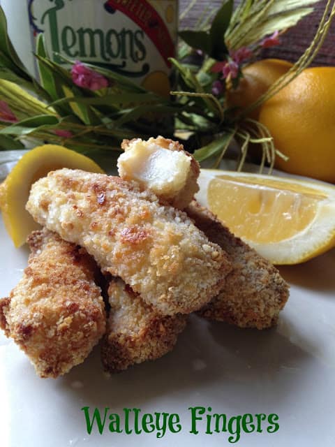 Walleye Fingers light and mild walleye