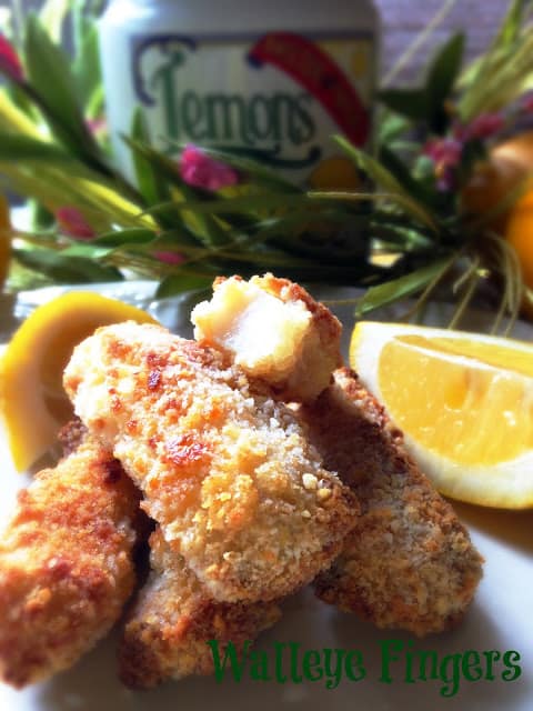 Walleye Fingers light and mild walleye