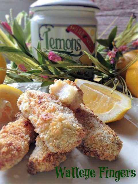 Walleye Fingers