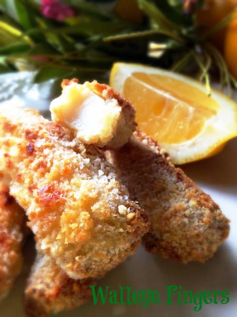 Walleye Fingers light and mild walleye