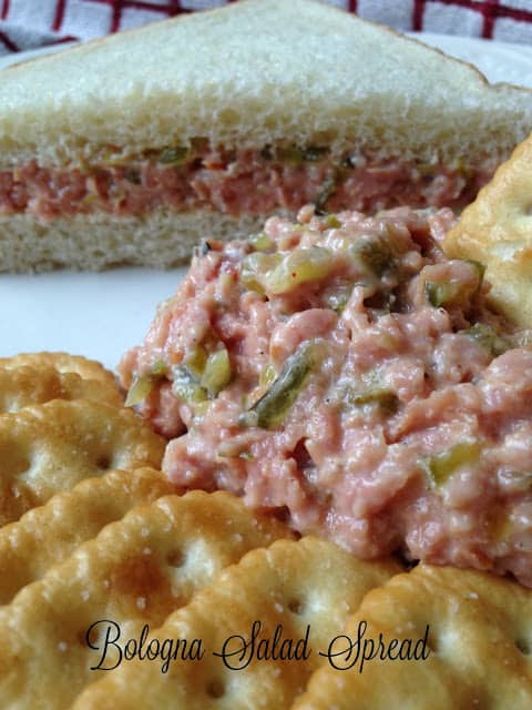 Pickled Bologna bologna salad spread
