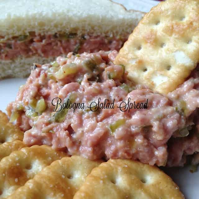 Bologna Salad Spread Or Pickled