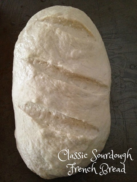 Classic Sourdough French Bread classic sourdough