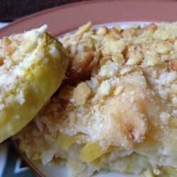 squash casserole