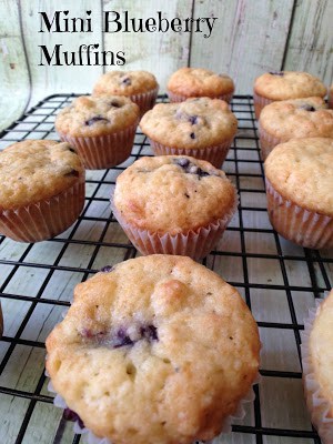 mini blueberry
