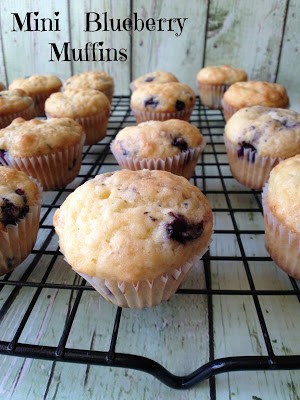 mini blueberry