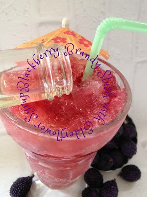 Blackberry Brandy Slush