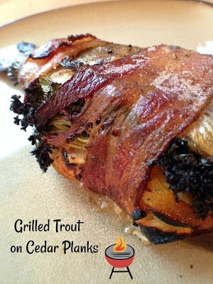 Grilled Trout on Cedar Planks bacon wrapped grilled