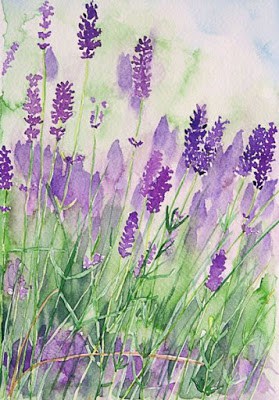 lavender in the kitchen 