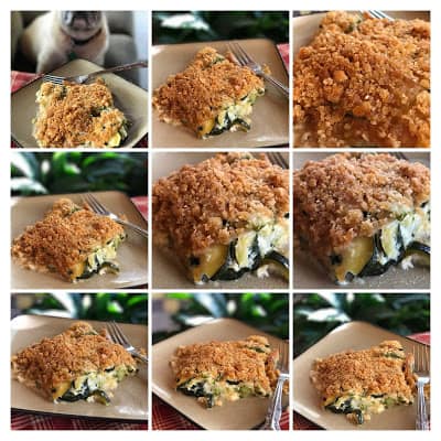 Zucchini Squash Casserole zucchini squash