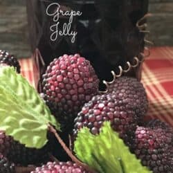 concord grape jelly