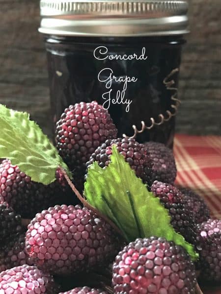 concord grape jelly