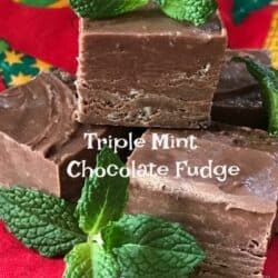 mint fudge