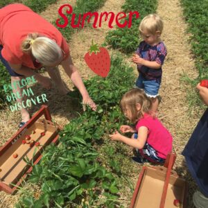 summer