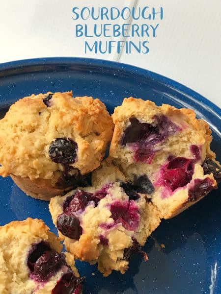 Sourdough Blueberry Muffins Turnips 2 Tangerines