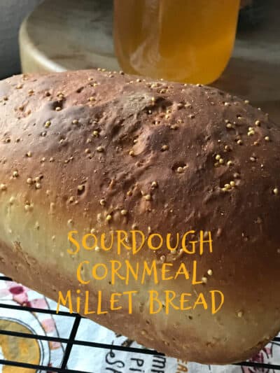 sourdough cornmeal 