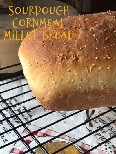 sourdough cornmeal 