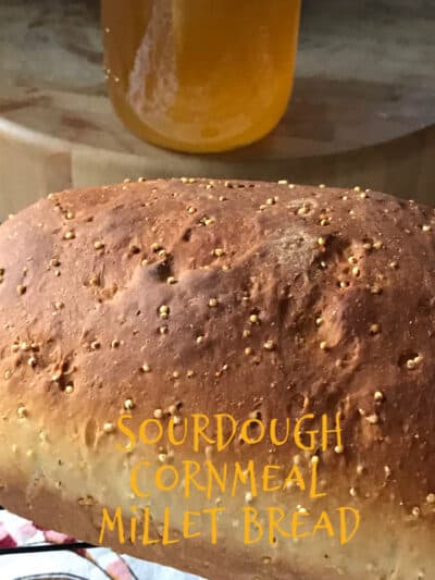 sourdough cornmeal