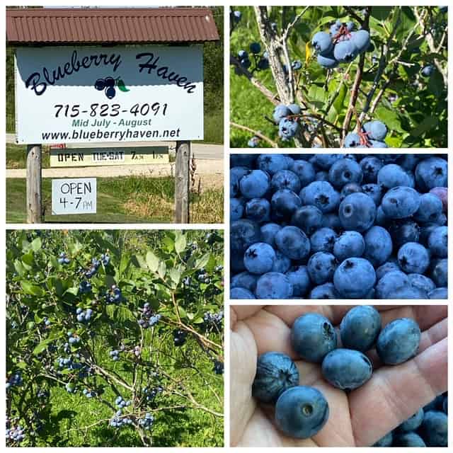 fresh blueberry pie