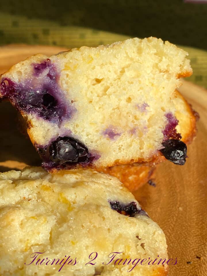 fresh blueberry