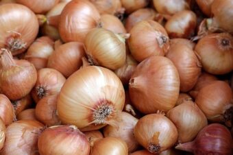 vidalia onion casserole